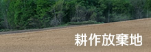 耕作放棄地