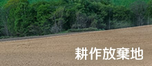 耕作放棄地
