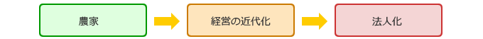 家族経営法人の育成フロー