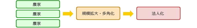 協業経営法人の育成フロー