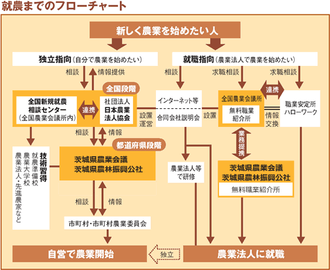 就農までのフローチャート